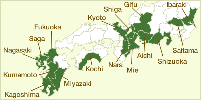 plantáže sypaných čajov v japonsku