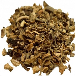 Leuzea šuštivá (Rhaponticum carthamoides)