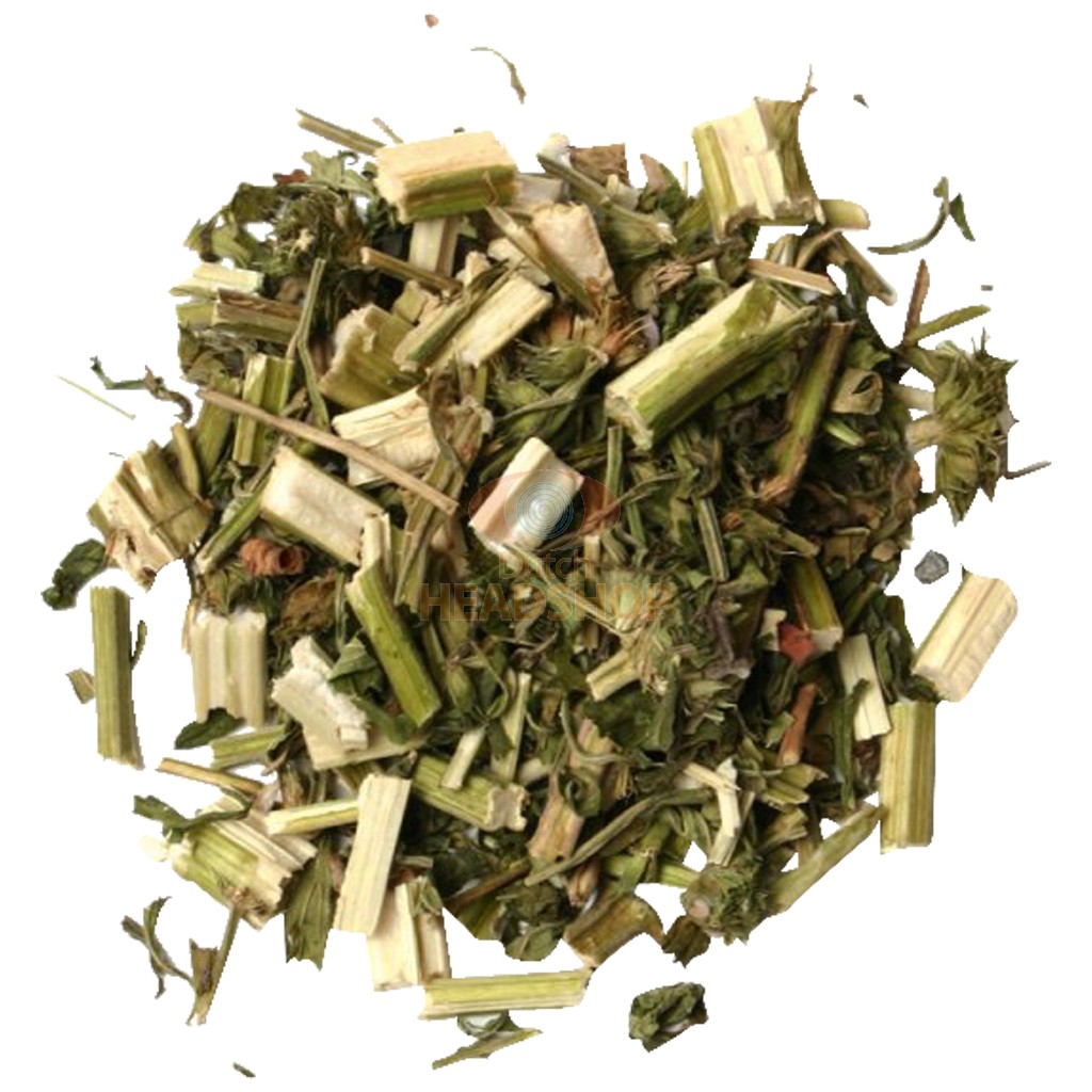 Srdcovník Sibírsky (Leonurus sibiricus) 20g